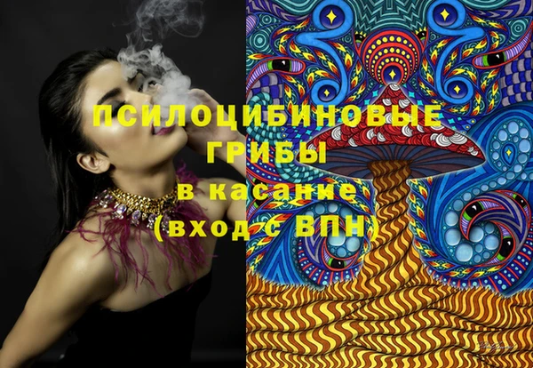 ECSTASY Медногорск