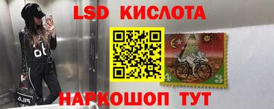 сатива Ирбит
