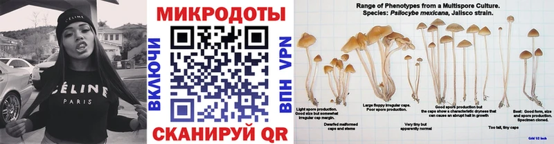 OMG сайт  Тобольск  Галлюциногенные грибы Psilocybe 