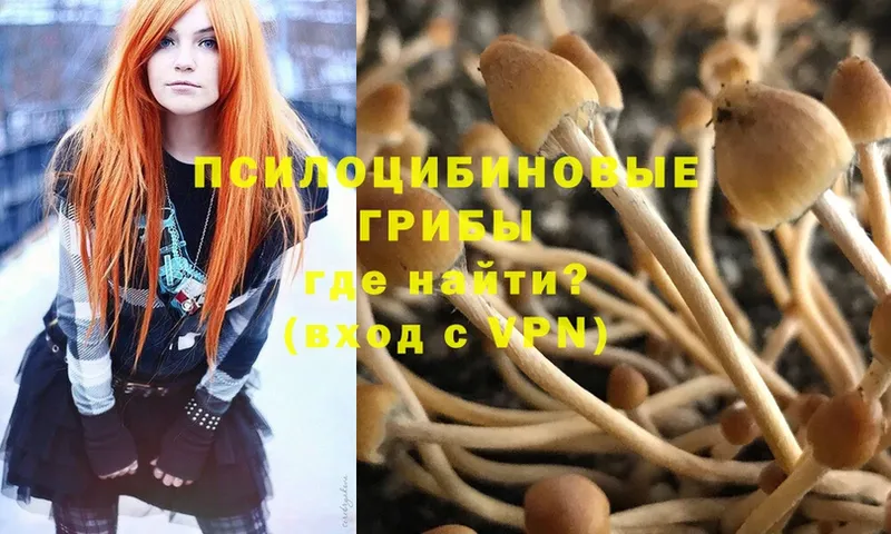 Галлюциногенные грибы Psilocybe  Тобольск 