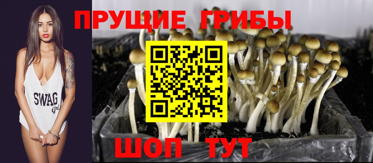 Галлюциногенные грибы Cubensis Тобольск