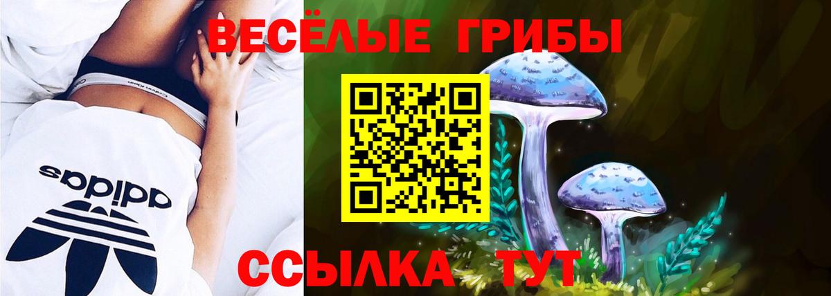 где купить наркоту  Псилоцибиновые грибы Magic Shrooms  Галлюциногенные грибы прущие грибы  Вход с VPN  Тобольск 